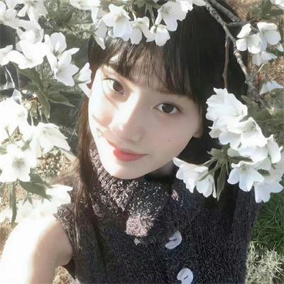 暗芝居第七季