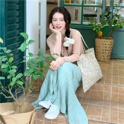 胡惠干血战西𪩷寺